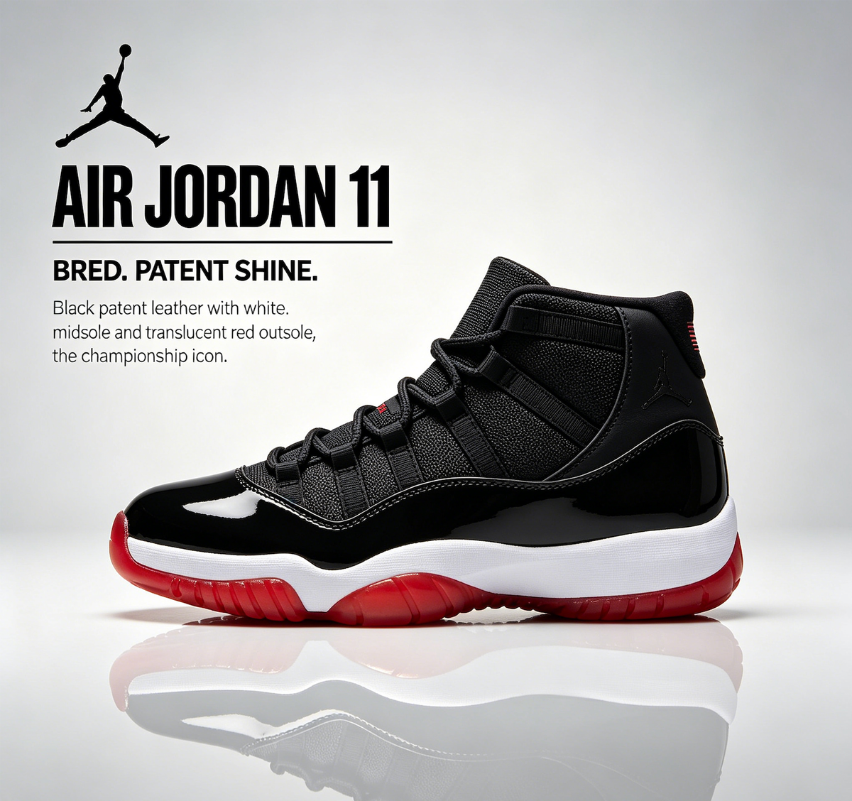 Air Jordan 11