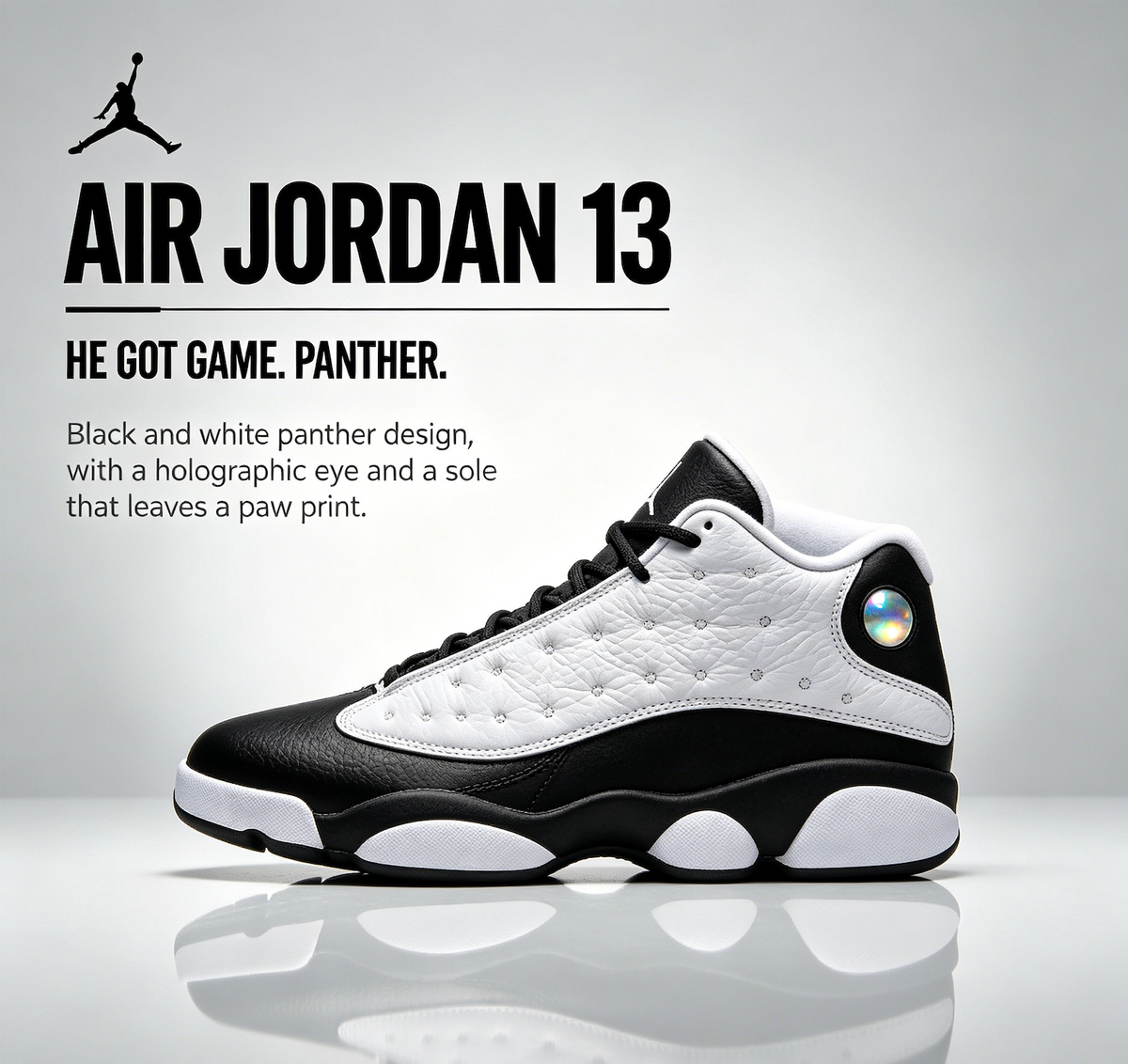 Air Jordan 13