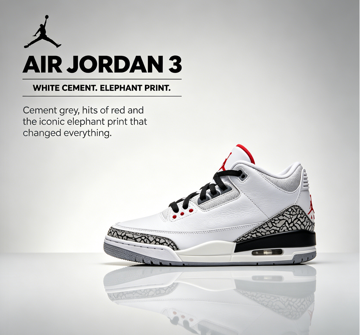 Air Jordan 3