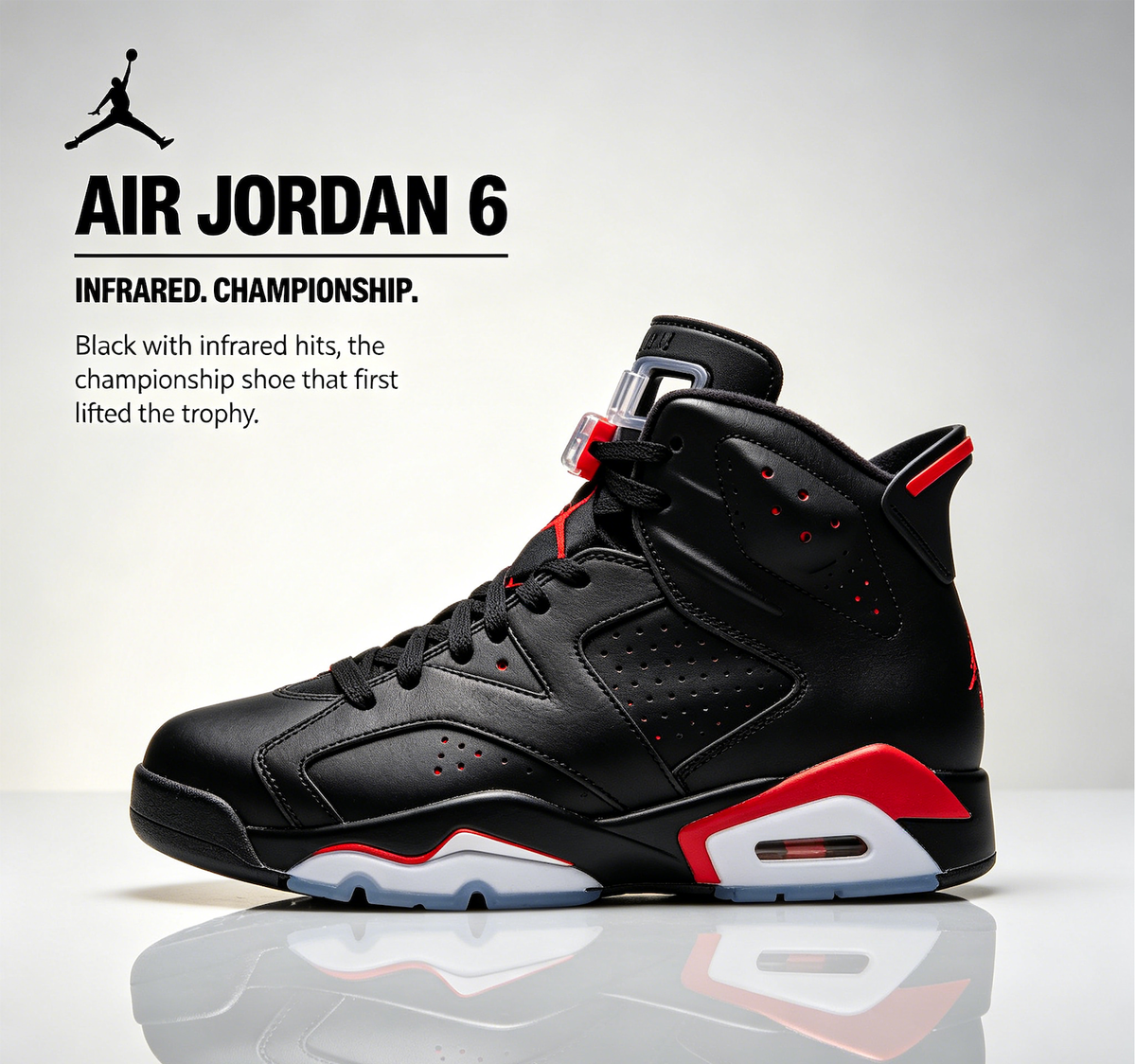 Air Jordan 6